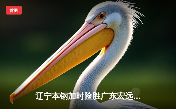 辽宁本钢加时险胜广东宏远 CBA半决赛上演史诗级对决